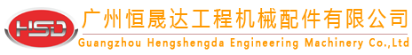 hengshengda English